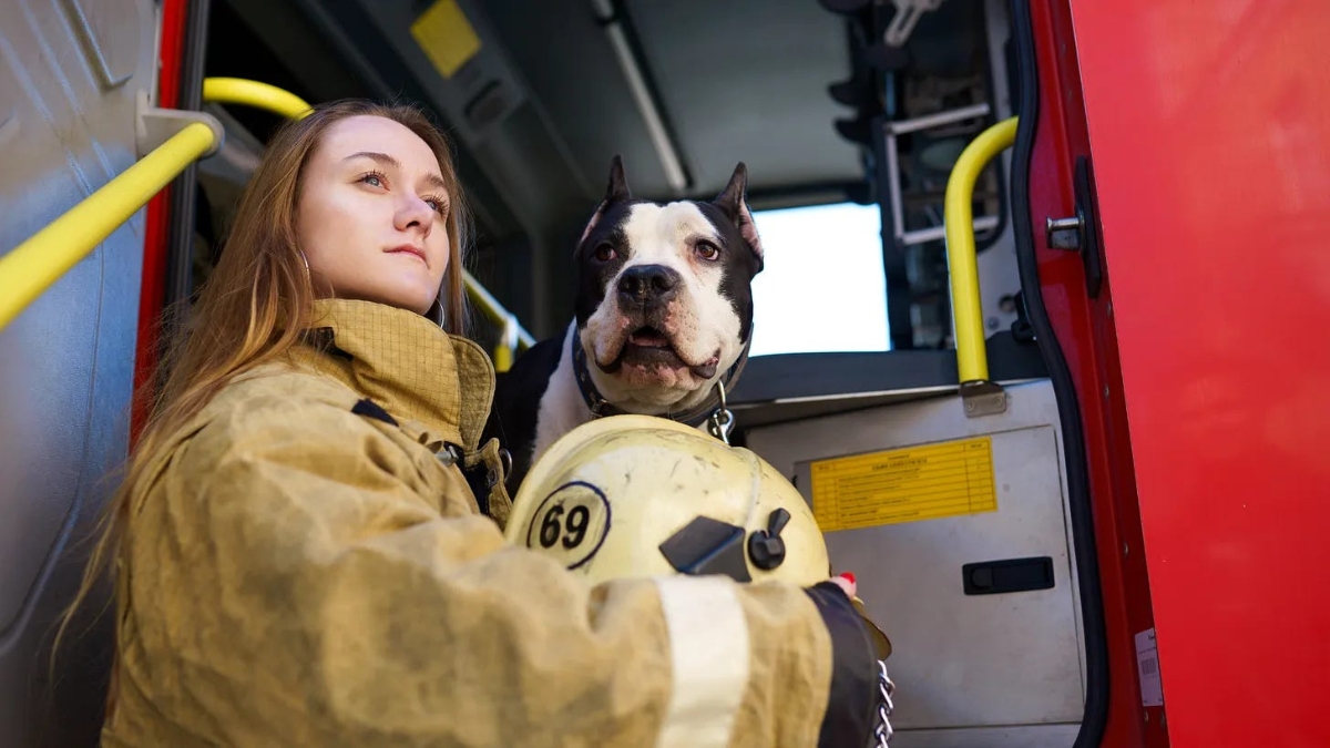 Why So Many Pets Die in House Fires — And the Fight to Save Them