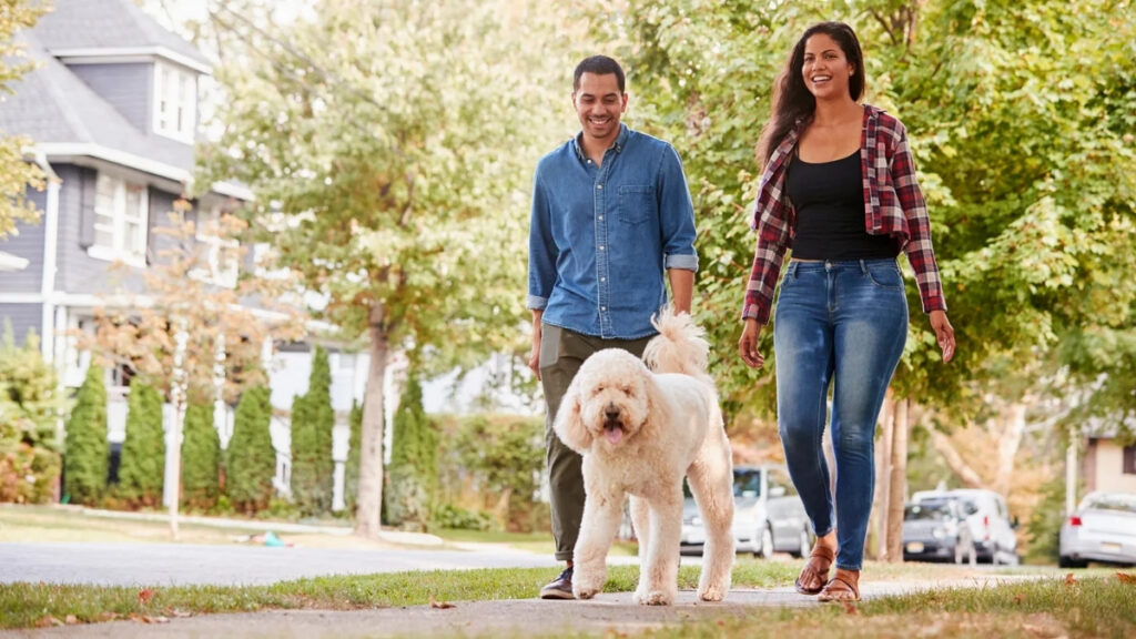 Best places for dogs to live 2025 as a couple walks their poodle mix through a tree-lined neighborhood, representing dog-friendly cities with access to parks, pet-friendly housing, and strong canine quality of life.