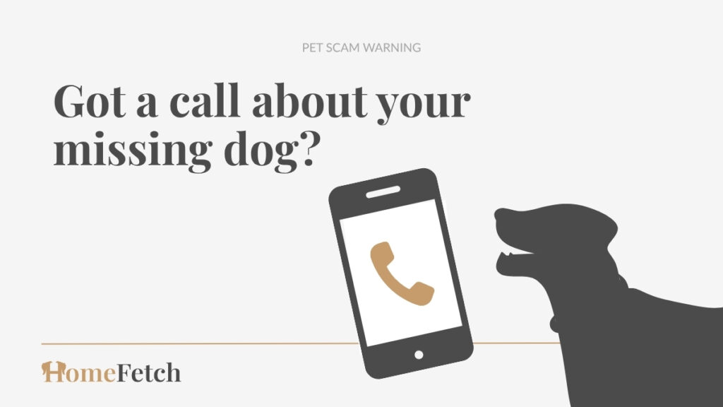 Utility graphic for a story about a missing dog scam, featuring the words “Pet Scam Warning,” a phone icon and a dog silhouette.