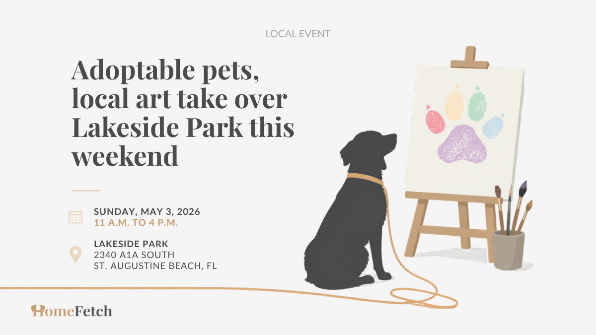 Adoptable pets, local art take over Lakeside Park in St. Augustine this weekend