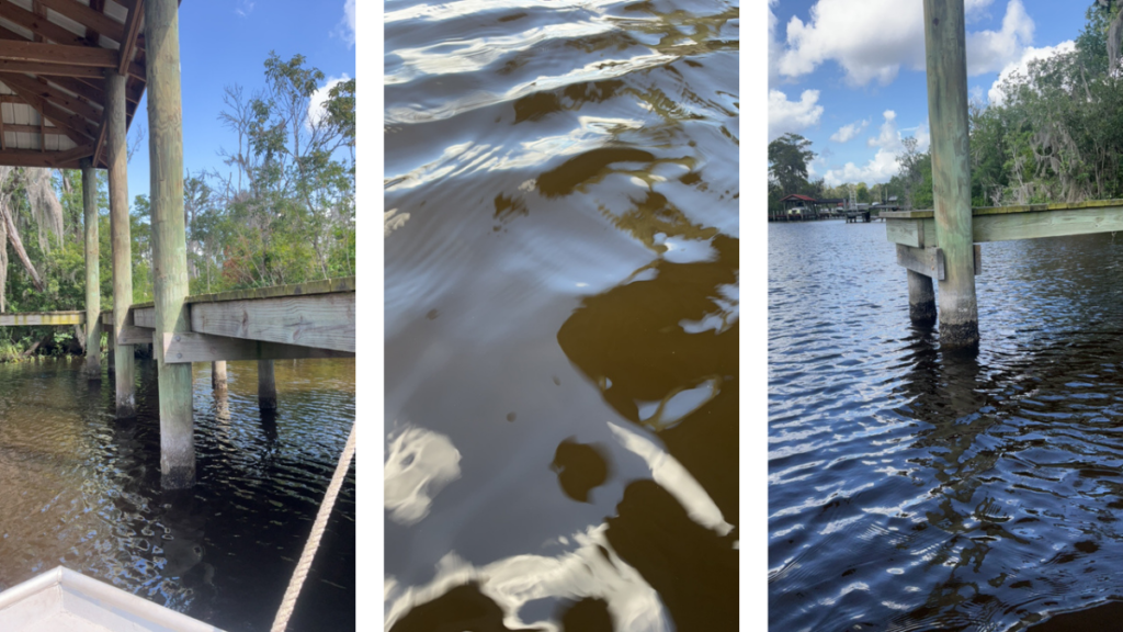 Duck Creek water conditions pictured in FDEP images tied to the Clay County blue-green algae alert after toxins were detected in water samples.