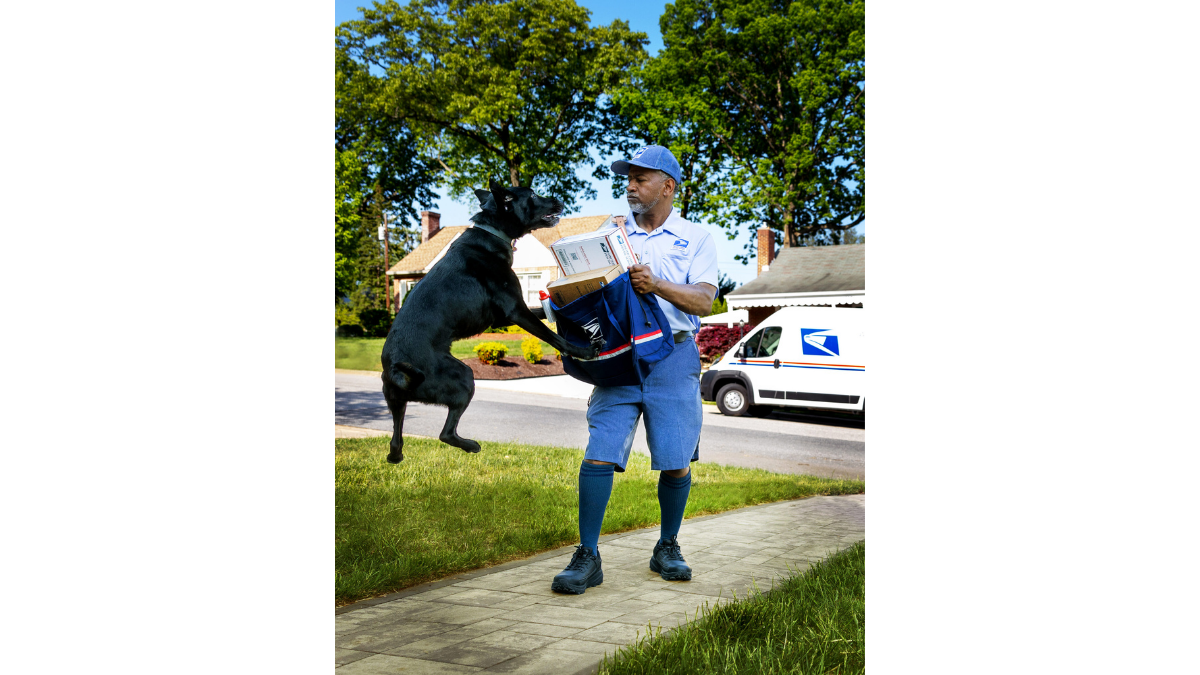 Jacksonville had more dog attacks on mail carriers than any Florida city