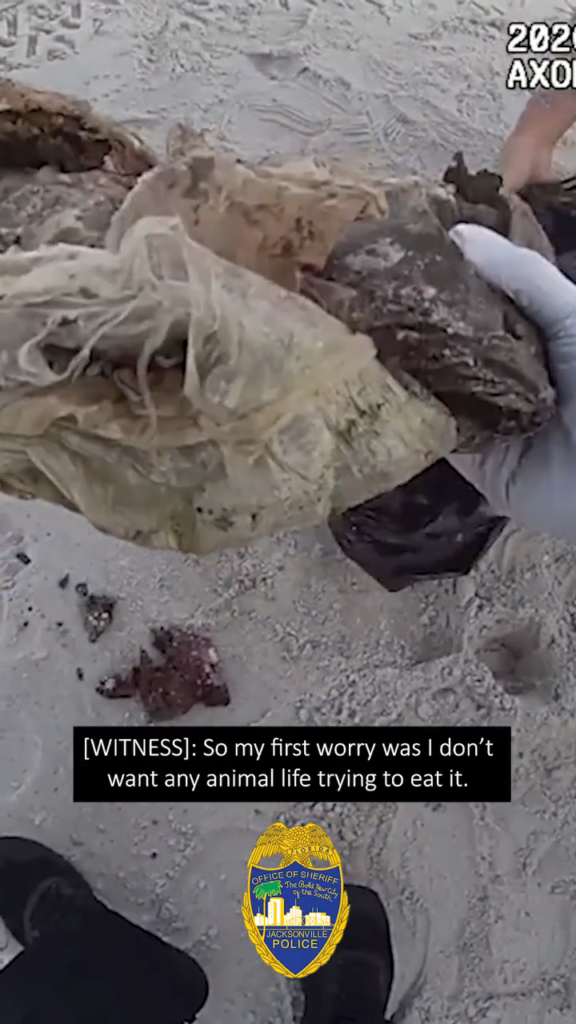 Service dog finds marijuana bale washed up on Jacksonville Beach near Hanna Park.