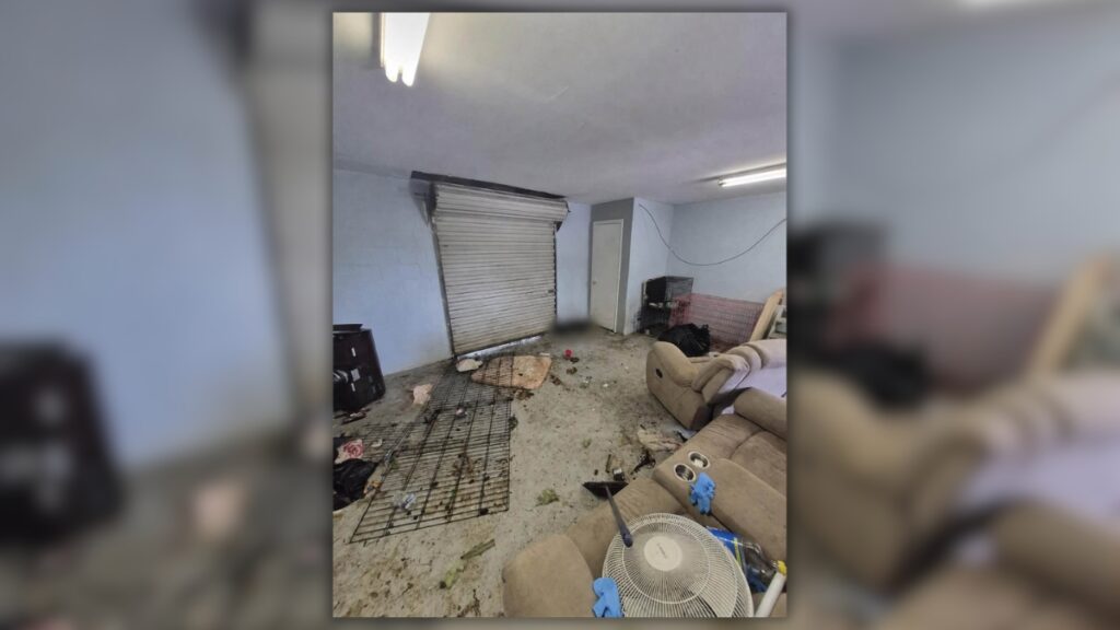 Palm Coast dog trainer arrested after 2 dogs found dead in storage unit