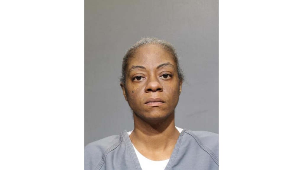 Booking photo of Dawn Lipford in Jacksonville Great Dane animal cruelty case.
