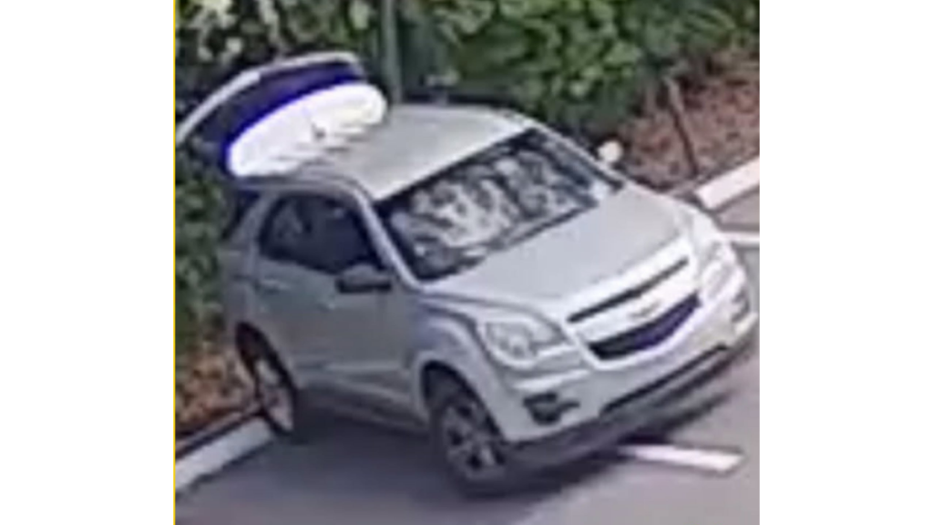 Silver SUV sought in dog abandoned outside Jacksonville church investigation.