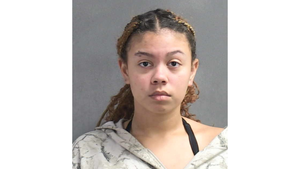 New Smyrna Beach animal cruelty defendant Arriana Ra'shelle Washington after pleading no contest to a felony animal cruelty charge.