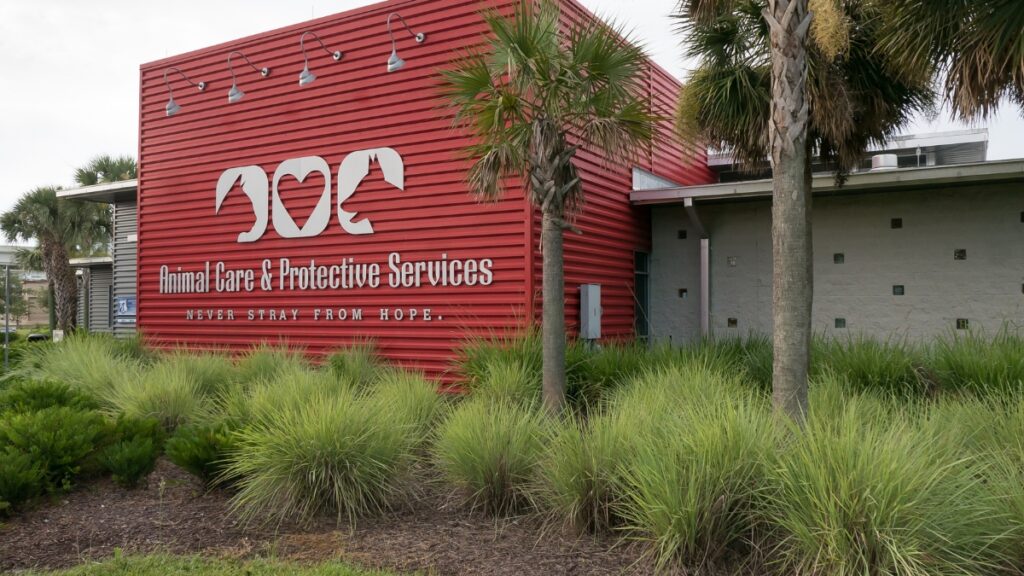 Jacksonville ACPS lawsuit at Jacksonville Animal Care and Protective Services facility
