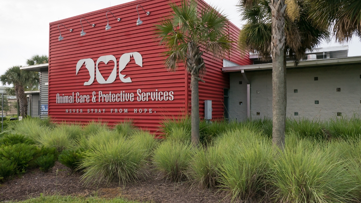 Jacksonville ACPS lawsuit at Jacksonville Animal Care and Protective Services facility