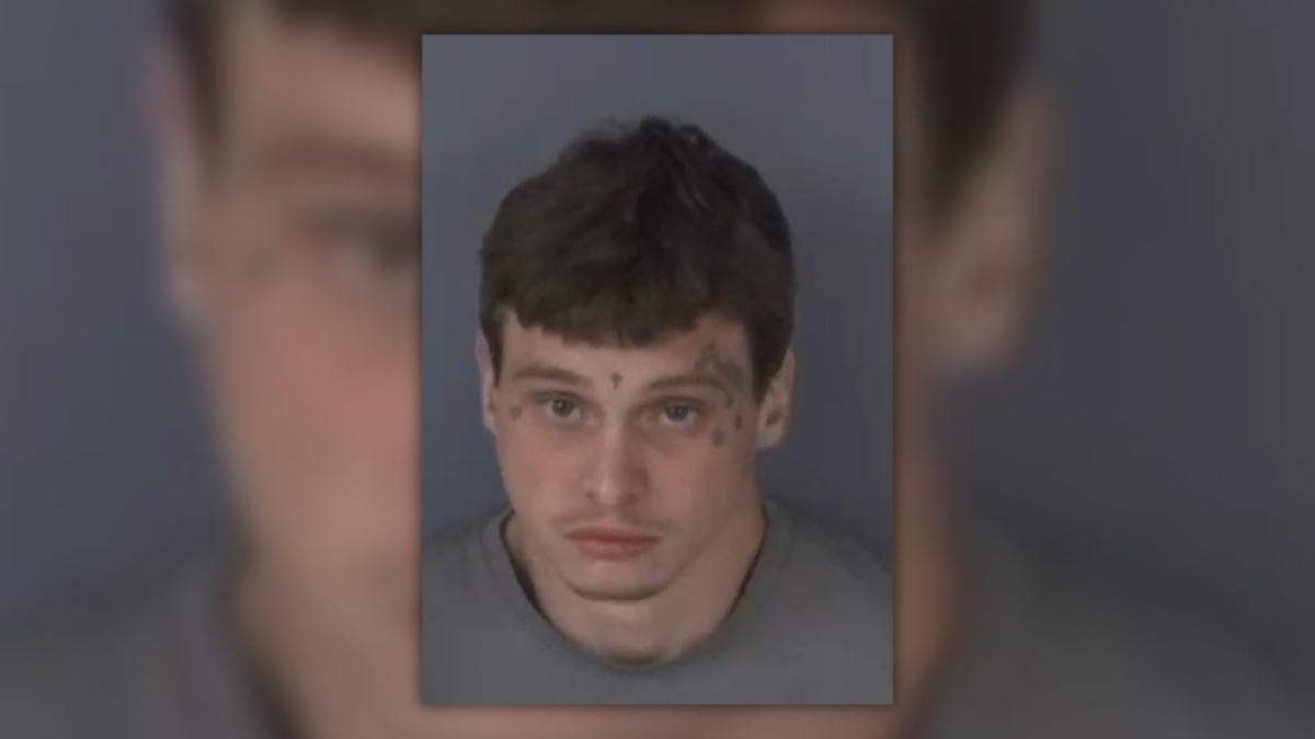 Middleburg man accused of binding, strangling girlfriend’s dog in recorded attack