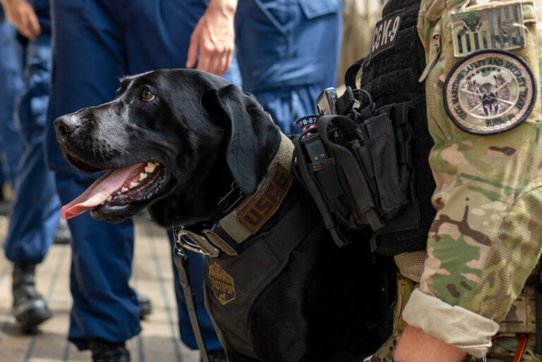Fernandina Beach Coast Guard K9 Lea standing beside a U.S. Coast Guard service member