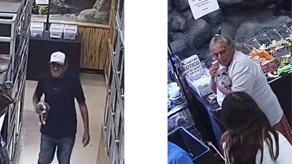 Two surveillance images from inside a pet store. On the left, a man in a white cap, dark T-shirt and jeans carries a gray and white puppy down an aisle. On the right, a woman with gray hair pulled back, glasses and a white shirt holds the puppy near the store counter.