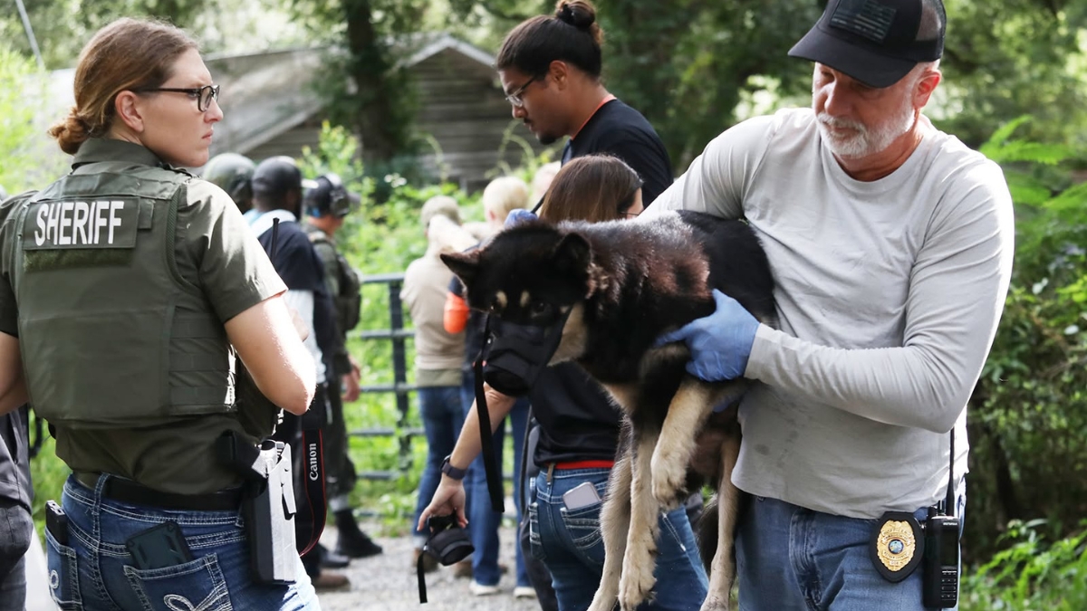 36 dogs removed from Putnam County home after reports of deadly attacks