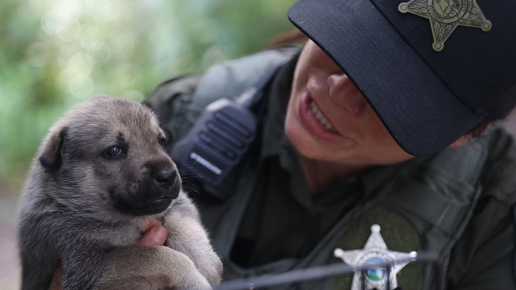 36 dogs removed from Putnam County home included 11 puppies, one shown being held by a sheriff’s deputy.