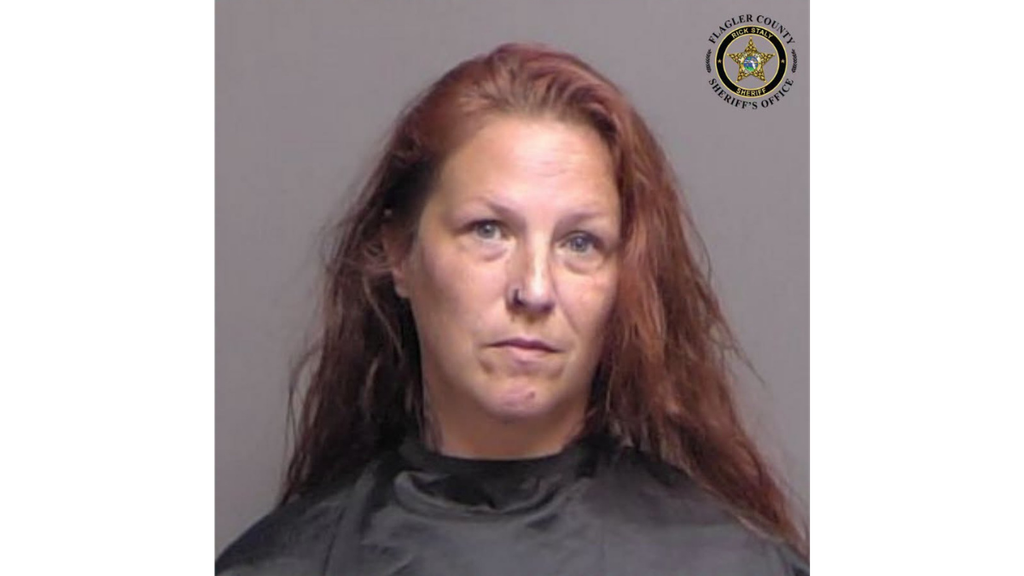 Chelsie Willis booking photo