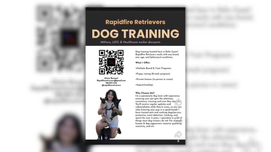 Rapidfire Retrievers flyer advertising Alexia Barquet’s Palm Coast dog training business in Flagler County.